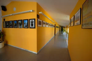 La Galeria I Raco II