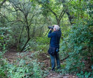 AOM20251019_AfotmirCollserola004_1