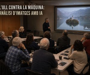 Anàlisi d'imatges amb IA